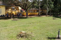 2011-11-28-10