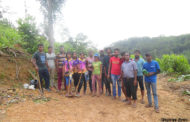 කුරණ වනාන්තරයේ හොර හා දේශීය වගා පැළ සිටවේ
