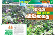 සොඳුරු වන අරණ බෝධිනාගල