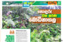 සෝලී දමන මාරක සුලිරාජ වක්කලම