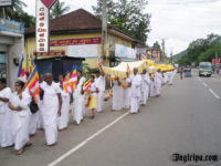 2010-05-28-03