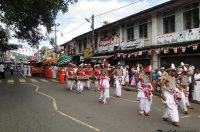 2010-06-25-10