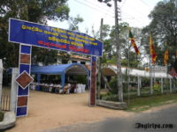 2011-03-31-05