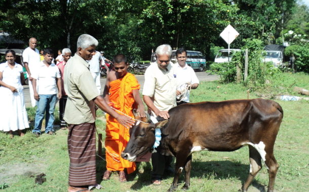 මරණයට කැපවූ ගවයින් නිදහස් කිරීම 5වන වරටත්