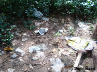 2011-06-19-02