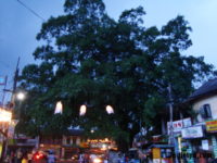 2011-06-20-30
