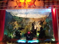 2011-06-20-44