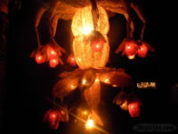 2011-06-20-66