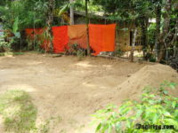 2011-07-03-03
