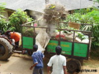 2011-07-03-07