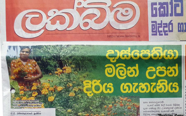 දාස්පෙතියා මලින් උපන් දිරිය ගැහැනිය