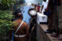 2018 දහම් පාසල් ත්‍යාග ප්‍රධානෝත්සවය