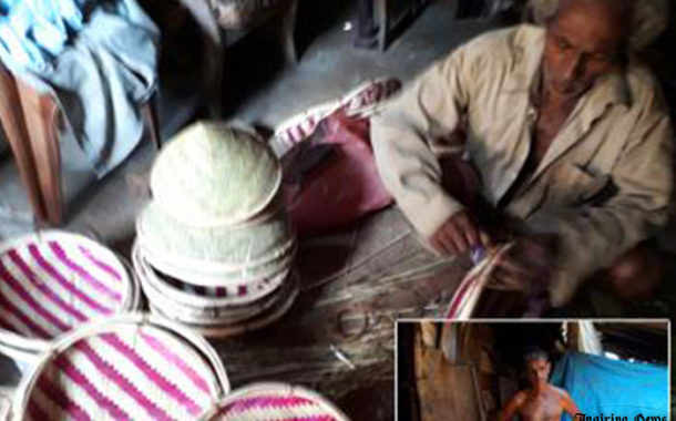 බට කැපිල්ලට නීති දෙකක්