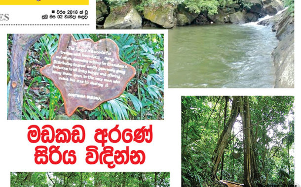 මඩකඩ අරණේ සිරිය විඳින්න