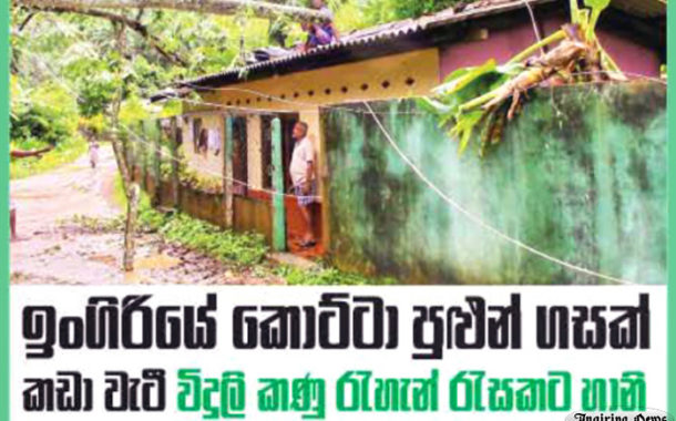 ඉංගිරියේ කොට්ටා පුලුන් ගසක් කඩා වැටී හානි