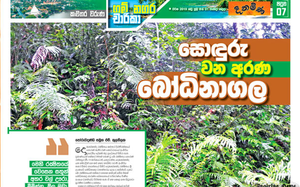 සොඳුරු වන අරණ බෝධිනාගල